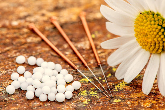 Can herbal compounds compliment cancer treatments?