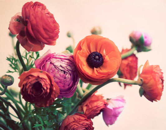 Is it possible to naturally reduce menopause symptoms?