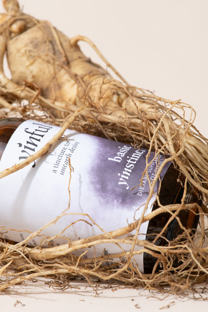 Why did we curate American Ginseng?