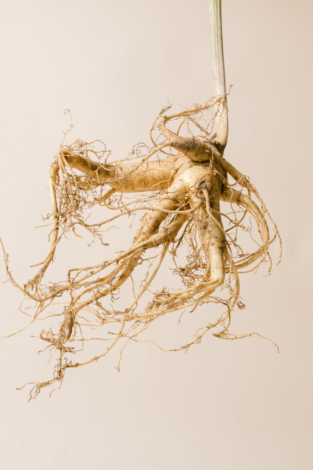 What does 'cure-all' mean?