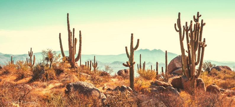 It's too much, can life stop...